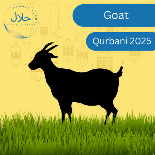 Goat Qurbani