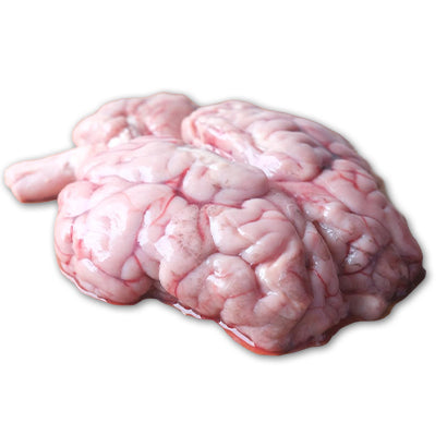 Goat/Lamb Brain